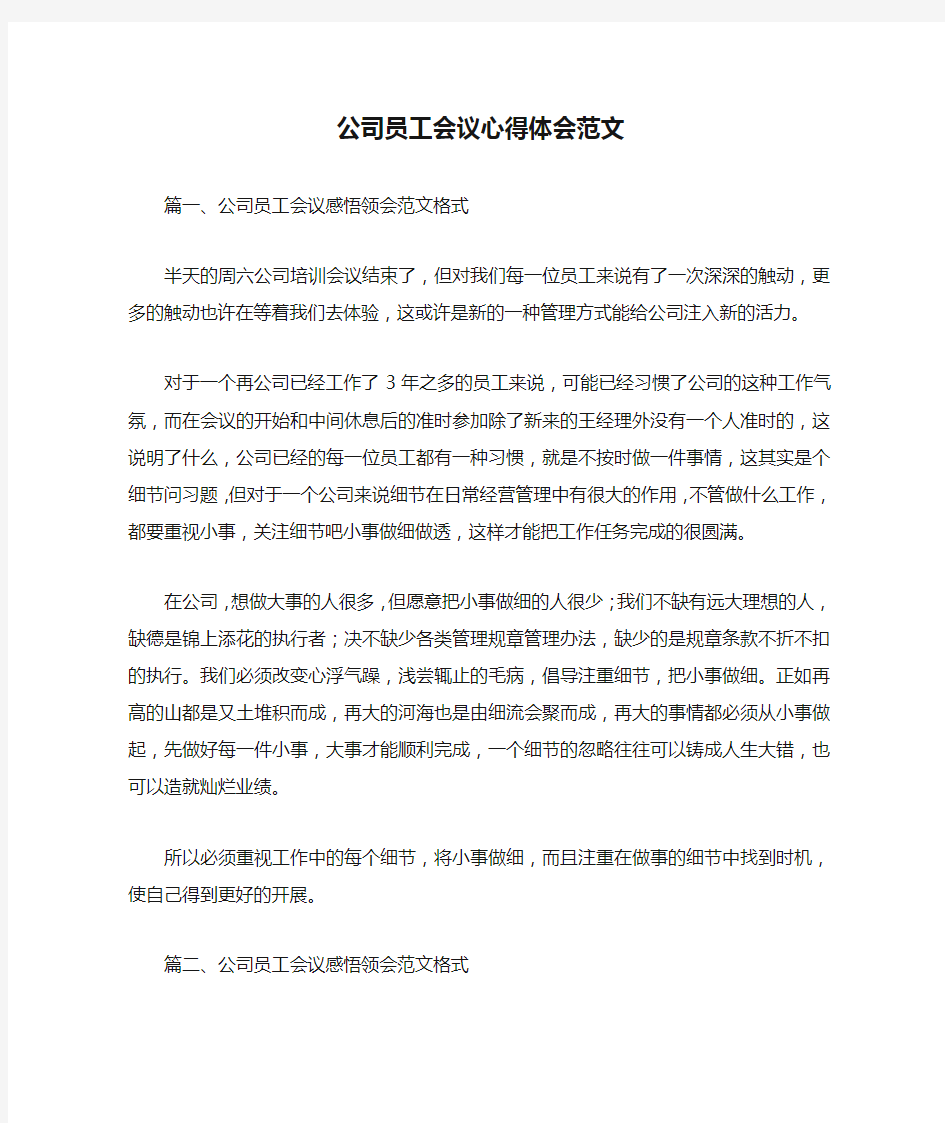 公司员工会议心得体会范文