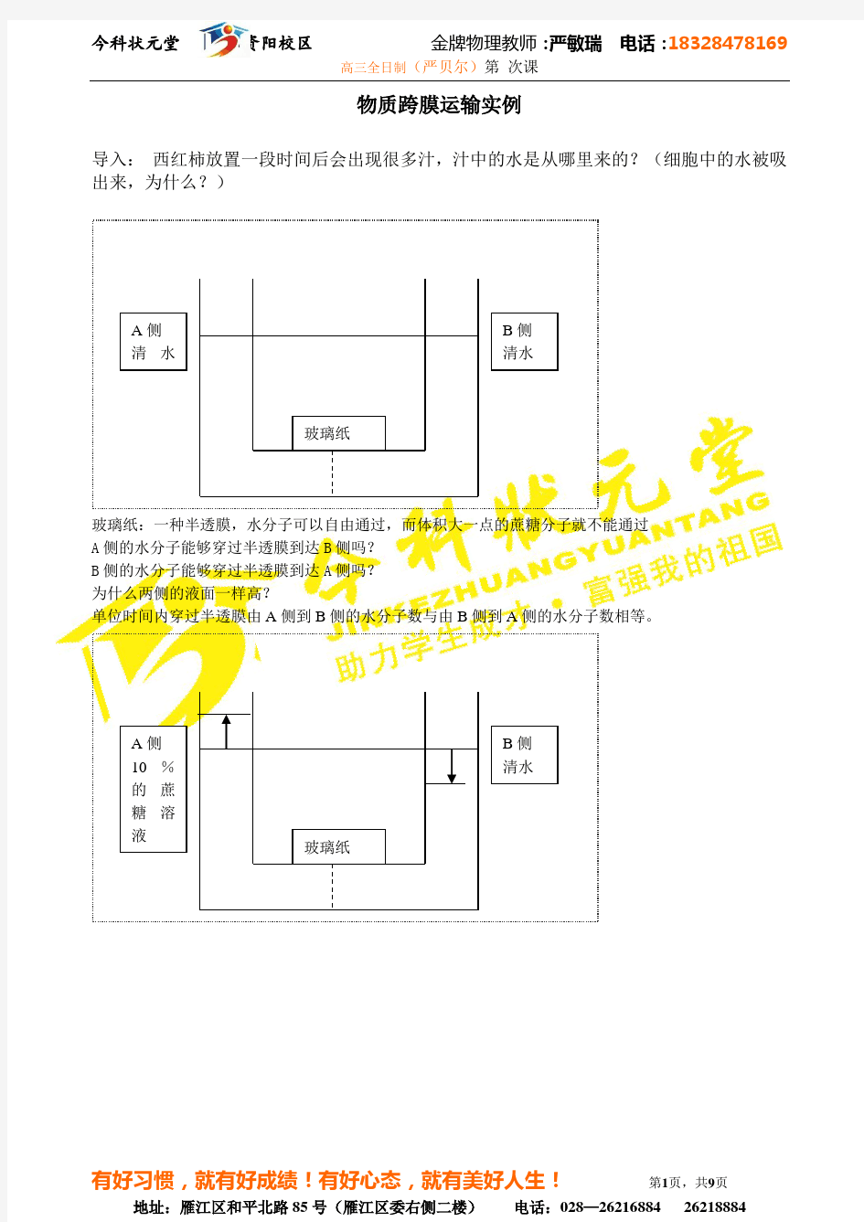 生物必修一第四章教案