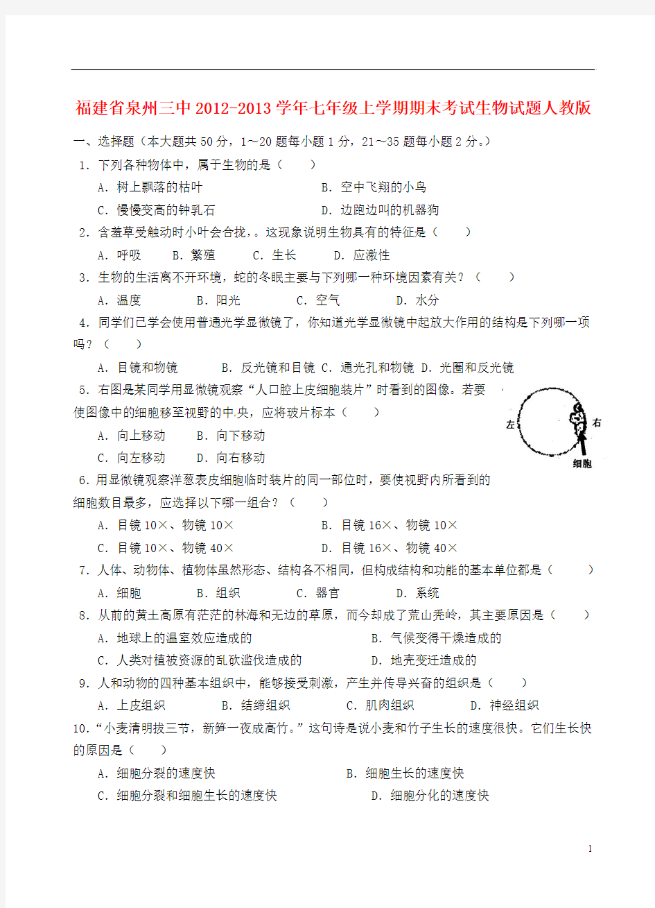 福建省泉州市2012-2013学年七年级生物上学期期末考试试题_新人教版