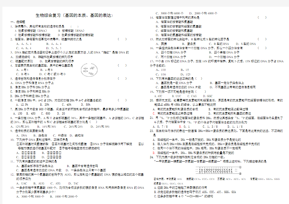 (完整版)基因的本质和基因的表达测试题