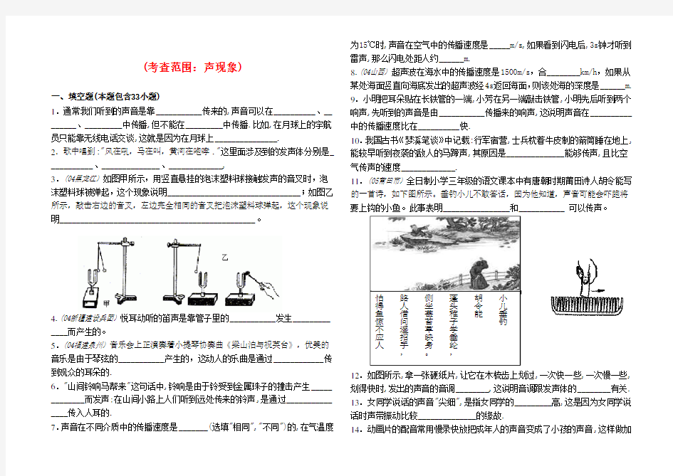 初中物理中考专题复习人教版