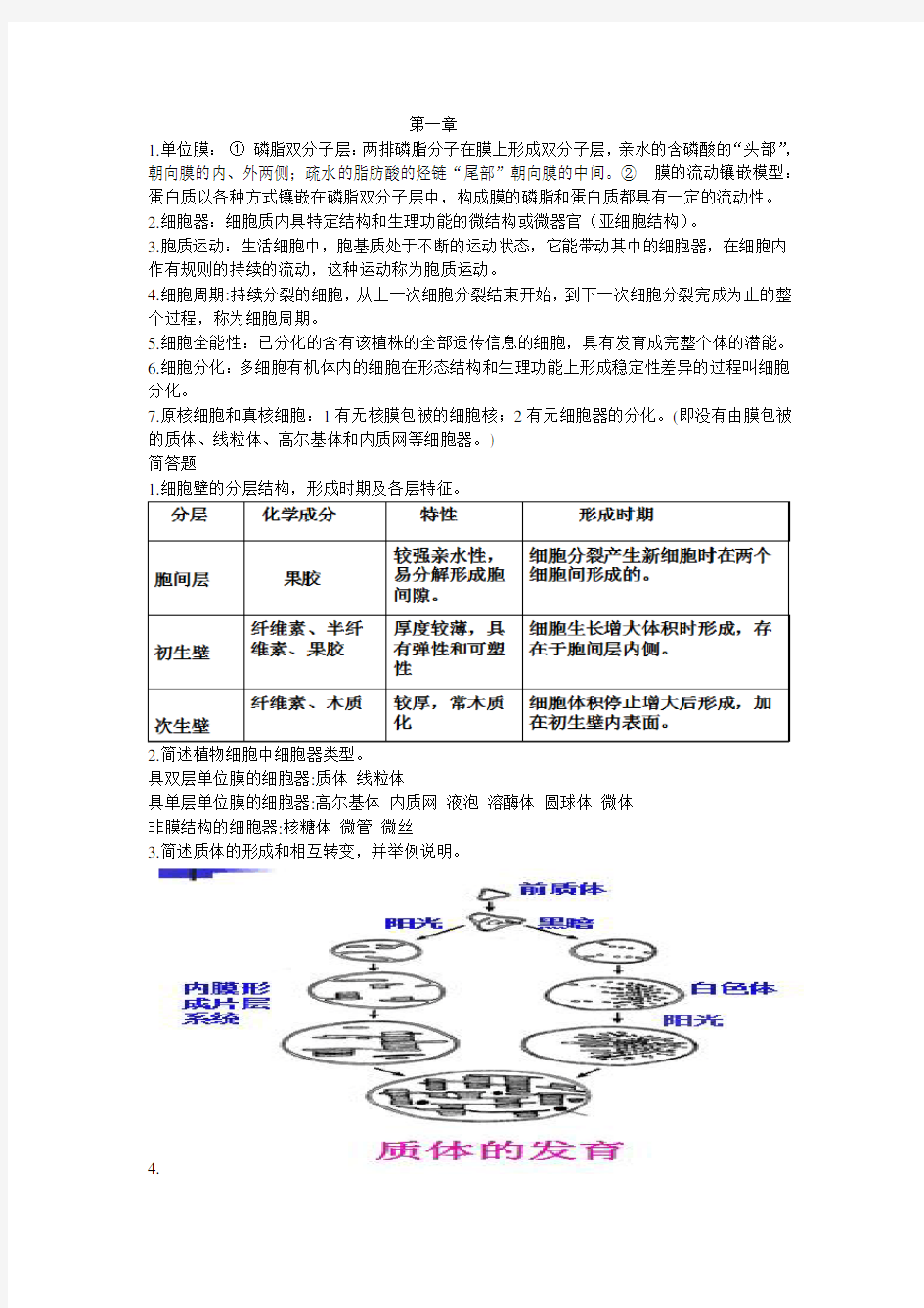 植物学简答资料