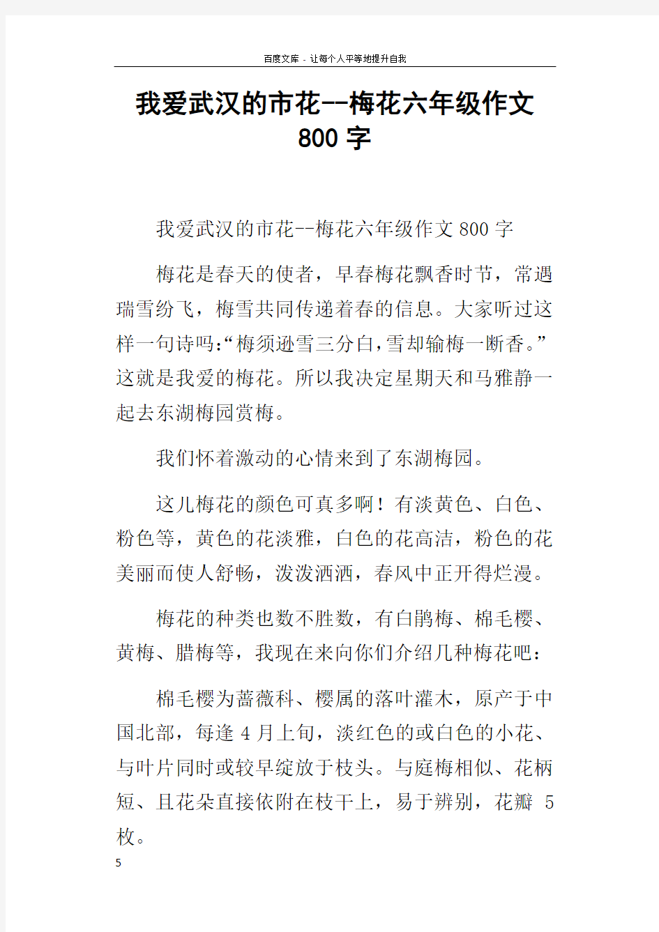 我爱武汉的市花梅花六年级作文800字