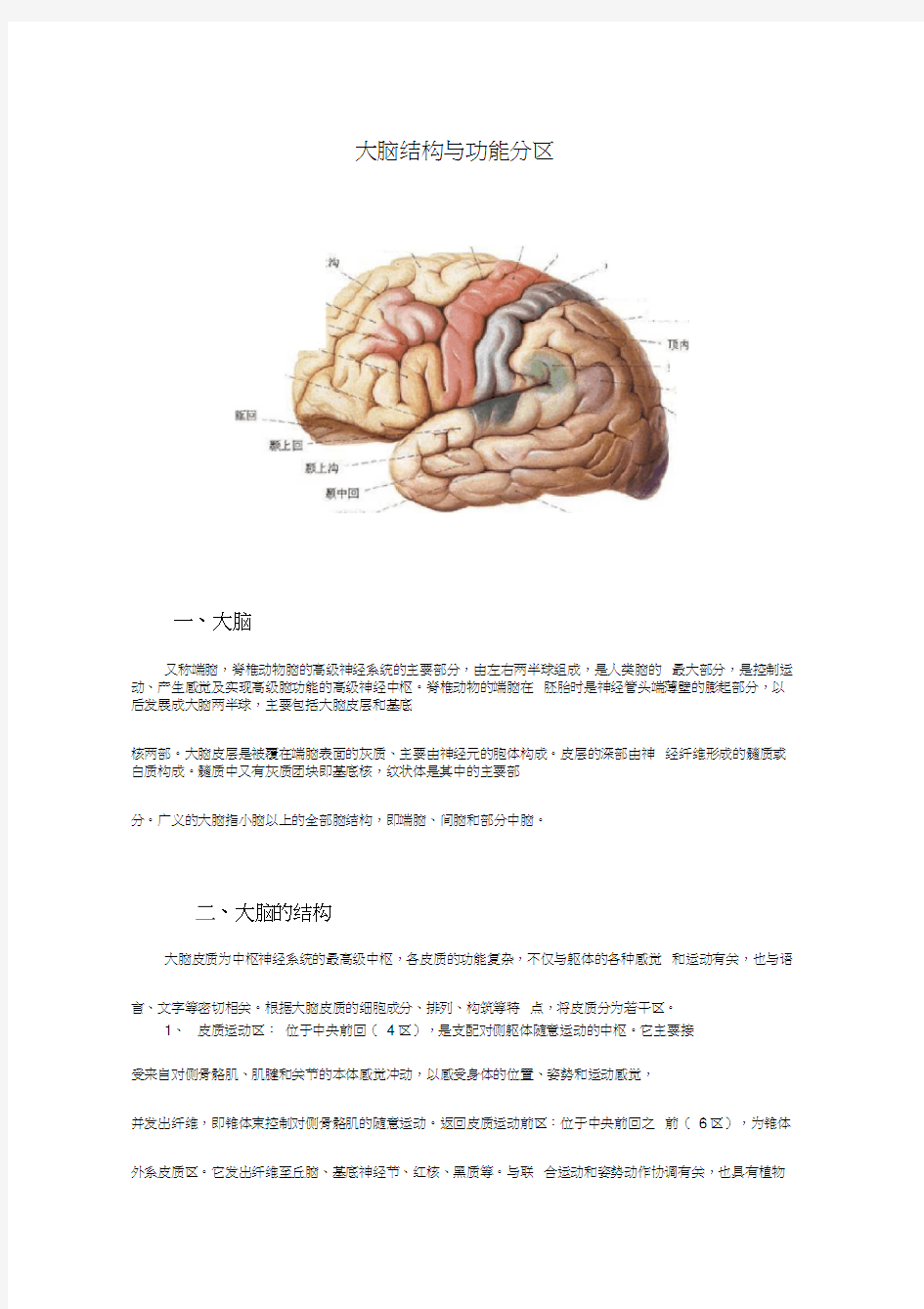 (完整版)大脑结构与功能分区