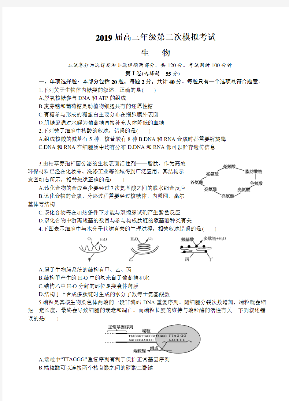 江苏省苏锡常镇四市2019届高三第二次模拟考试生物试卷(带答案)