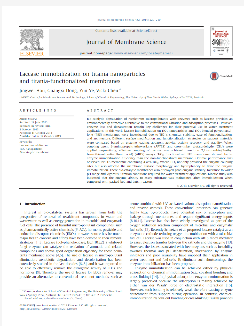 Laccase immobilization on titania nanoparticles