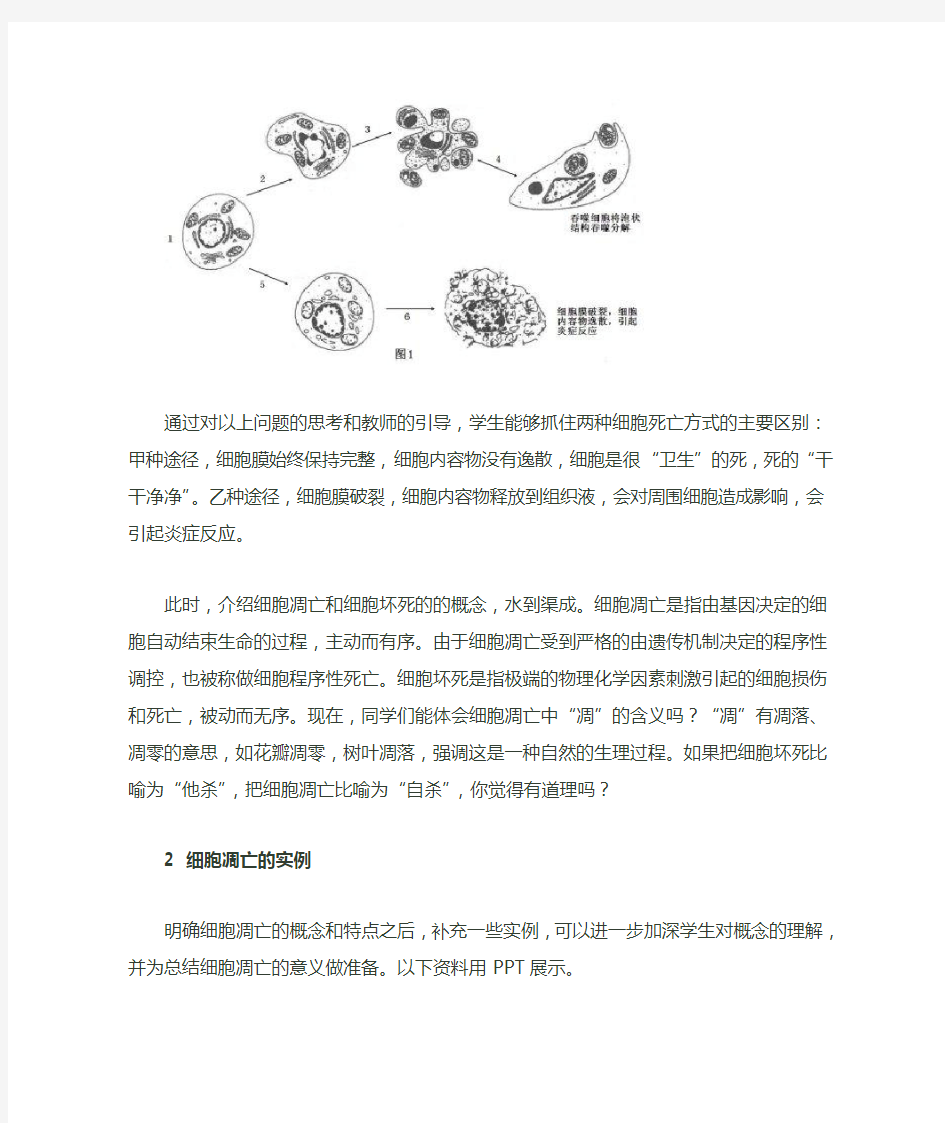 高中生物学“细胞凋亡”的有关概念教学