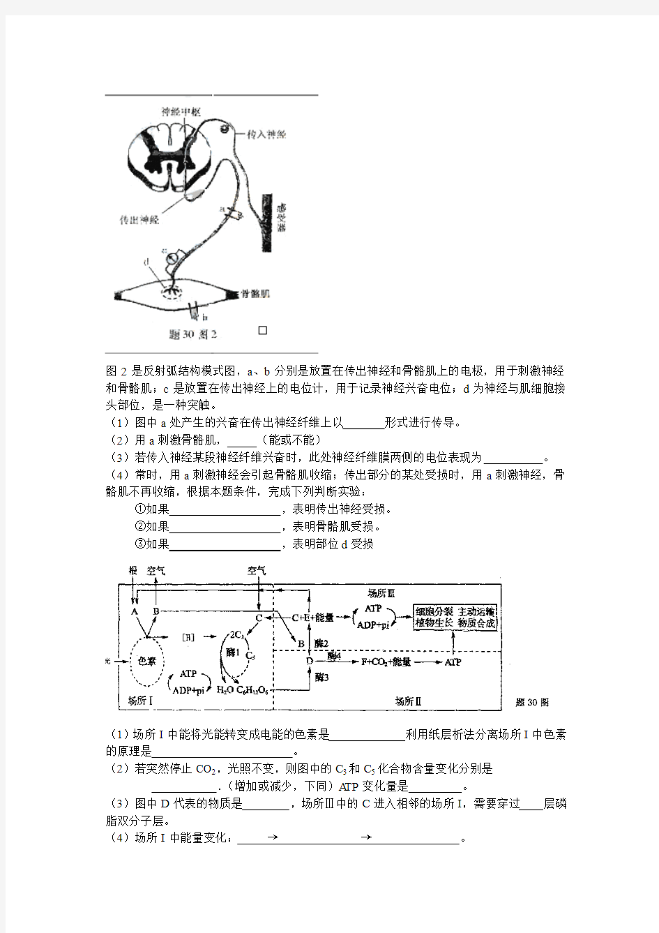 图2是反射弧结构模式图