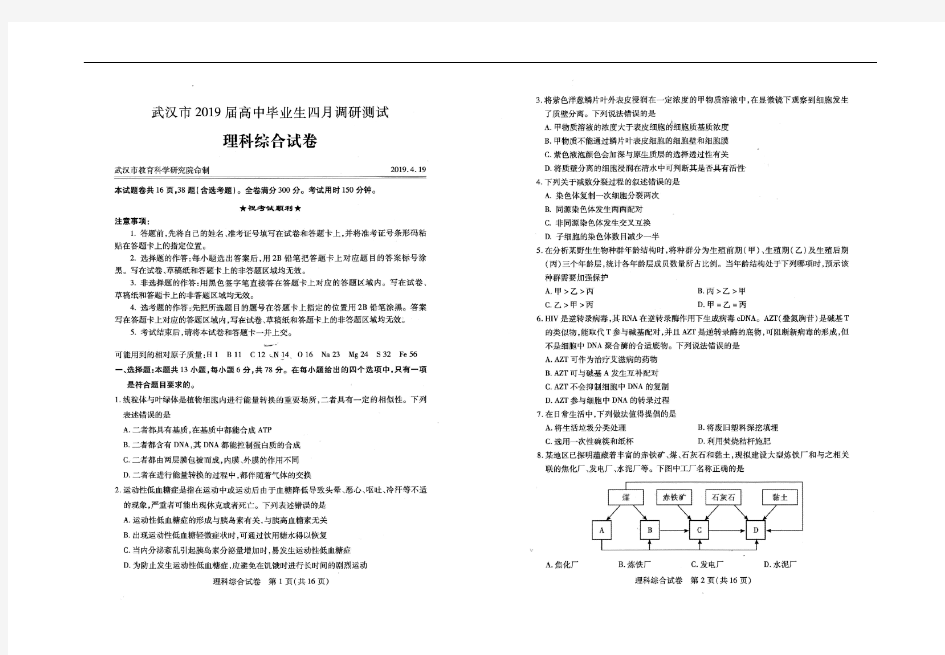 武汉市2019届高三四月调考理综试卷