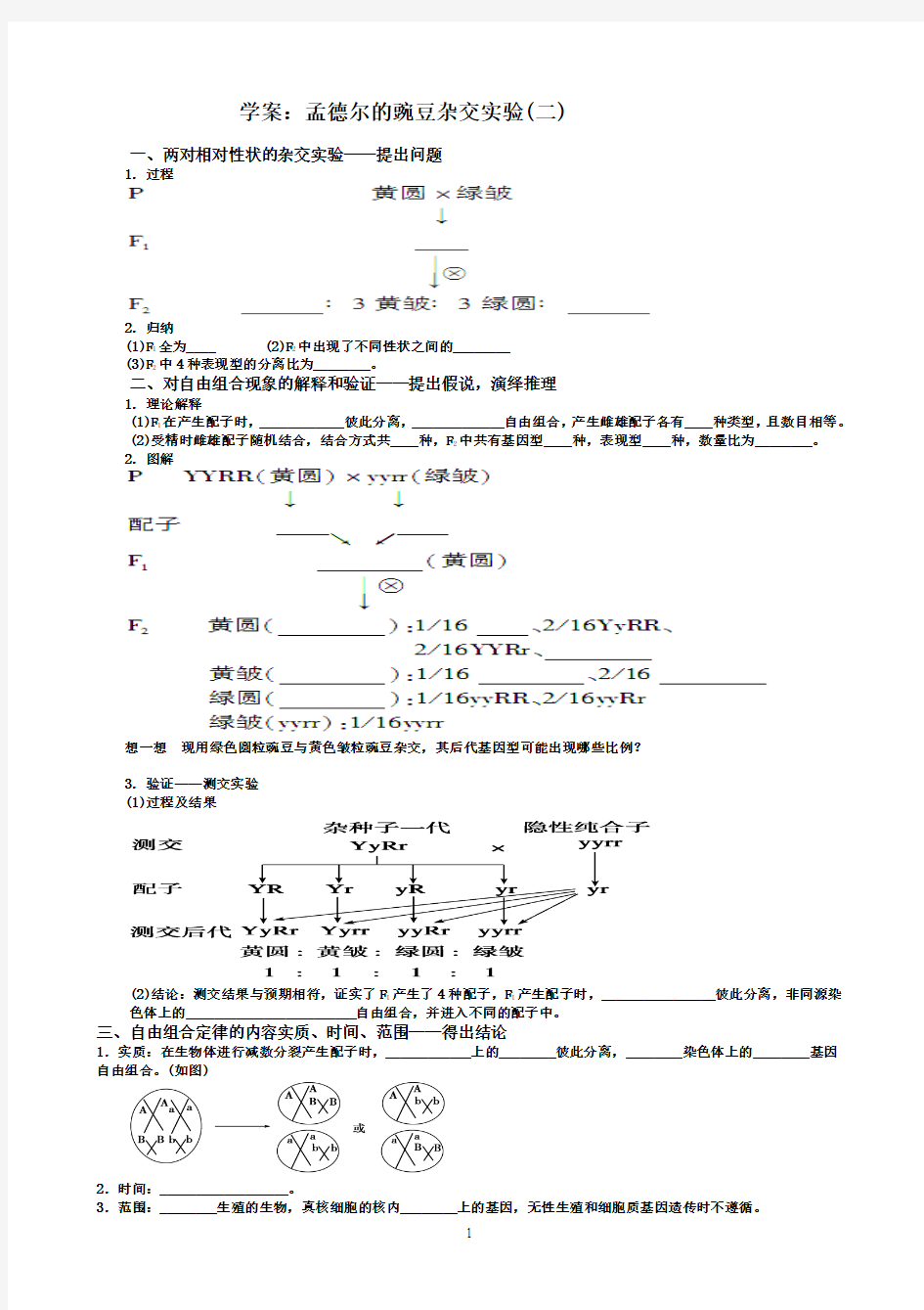 基因自由组合定律