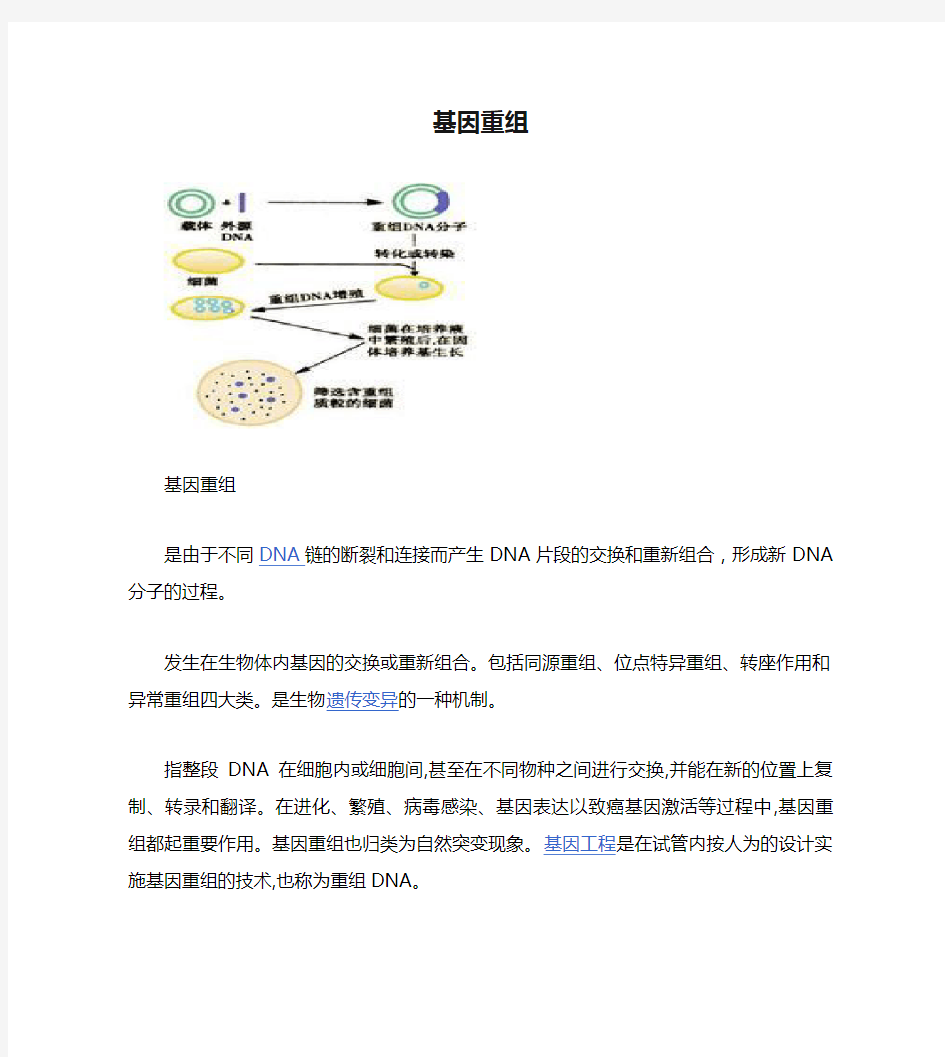 基因重组,生物合成概念