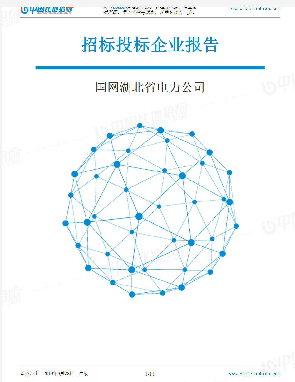 国网湖北省电力公司_招标190923