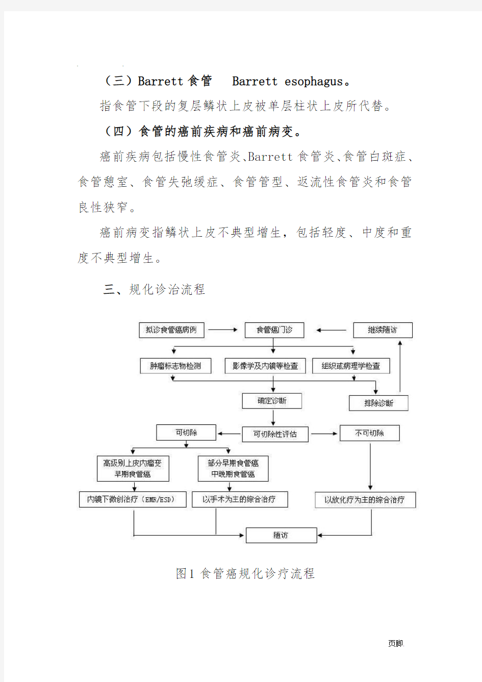 食管癌规范化诊治指南(试行)