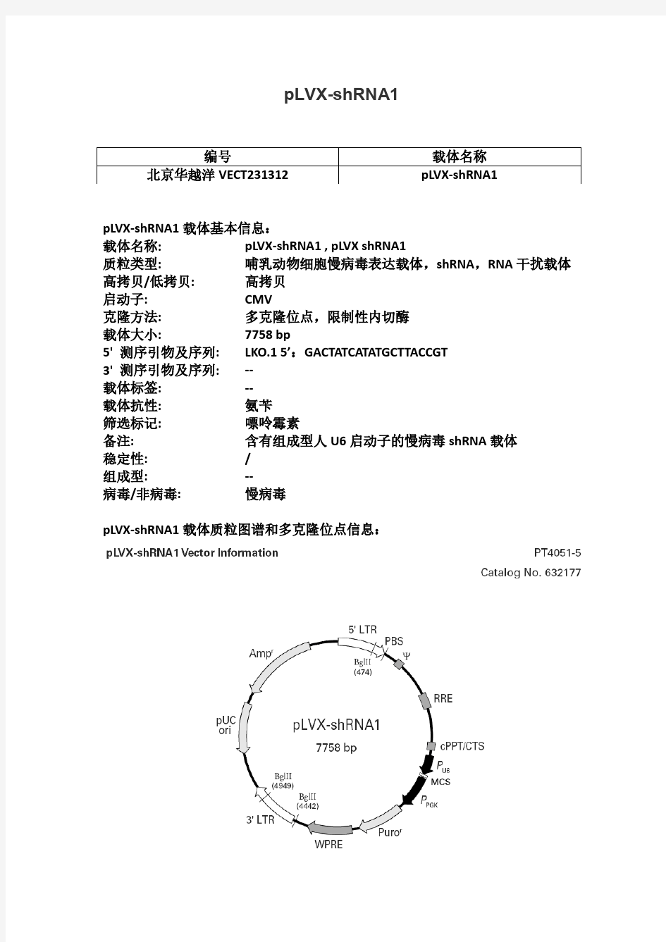 pLVX-shRNA1慢病毒载体使用说明