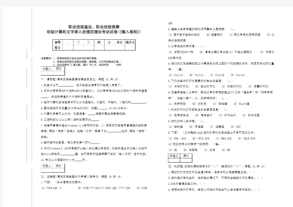 初级计算机文字录入处理员试题