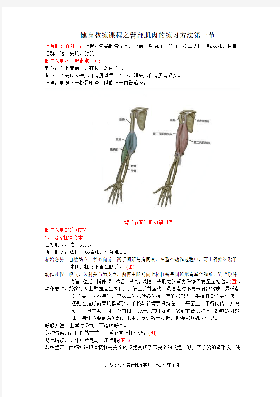 健身教练课程之臂部肌肉的练习方法第一节