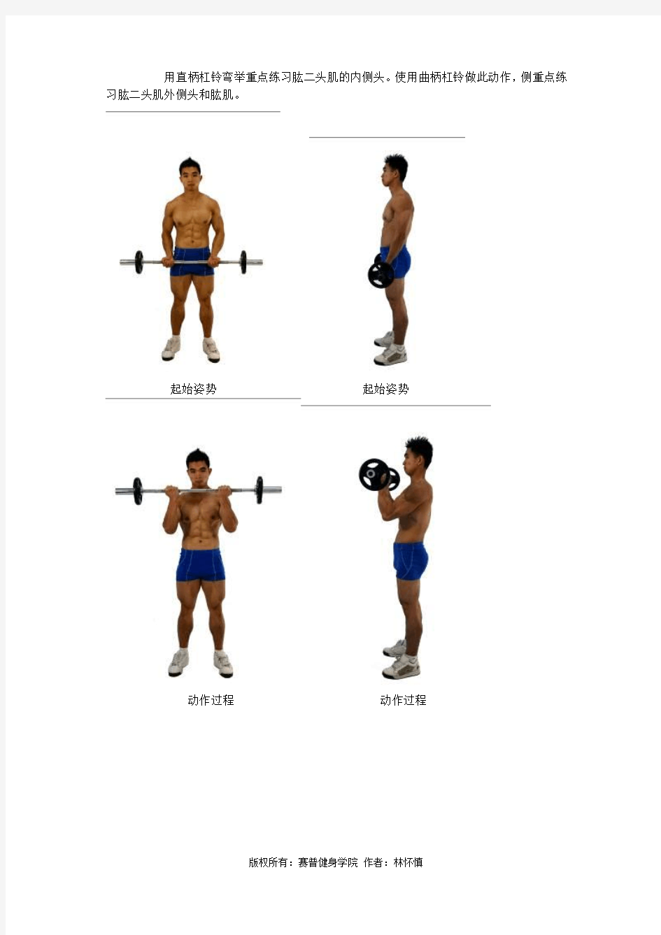健身教练课程之臂部肌肉的练习方法第一节