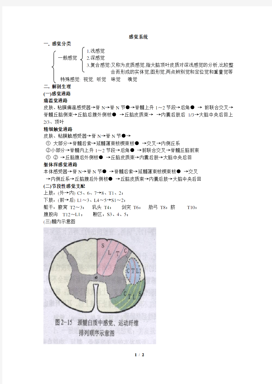 感觉系统