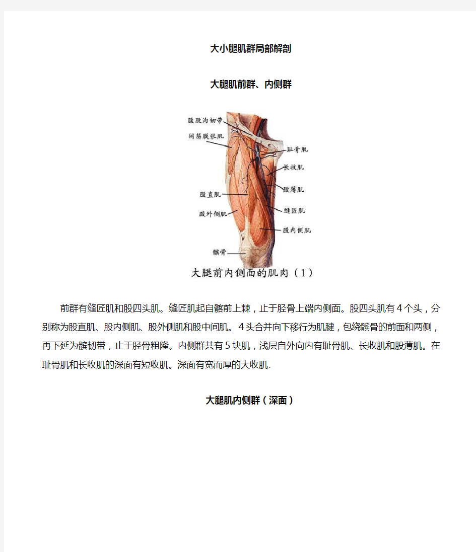 (完整版)大小腿肌群解剖