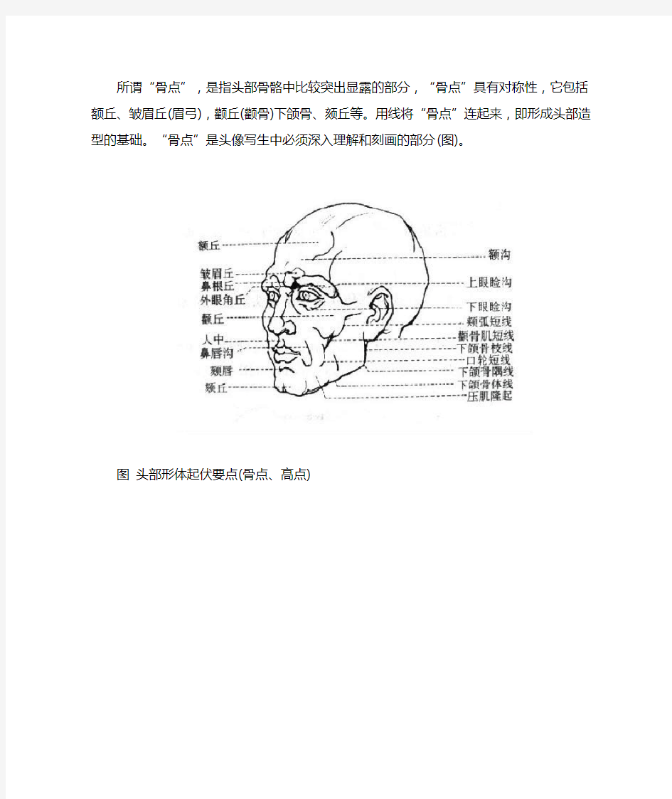 素描头像 头骨解剖结构及规律