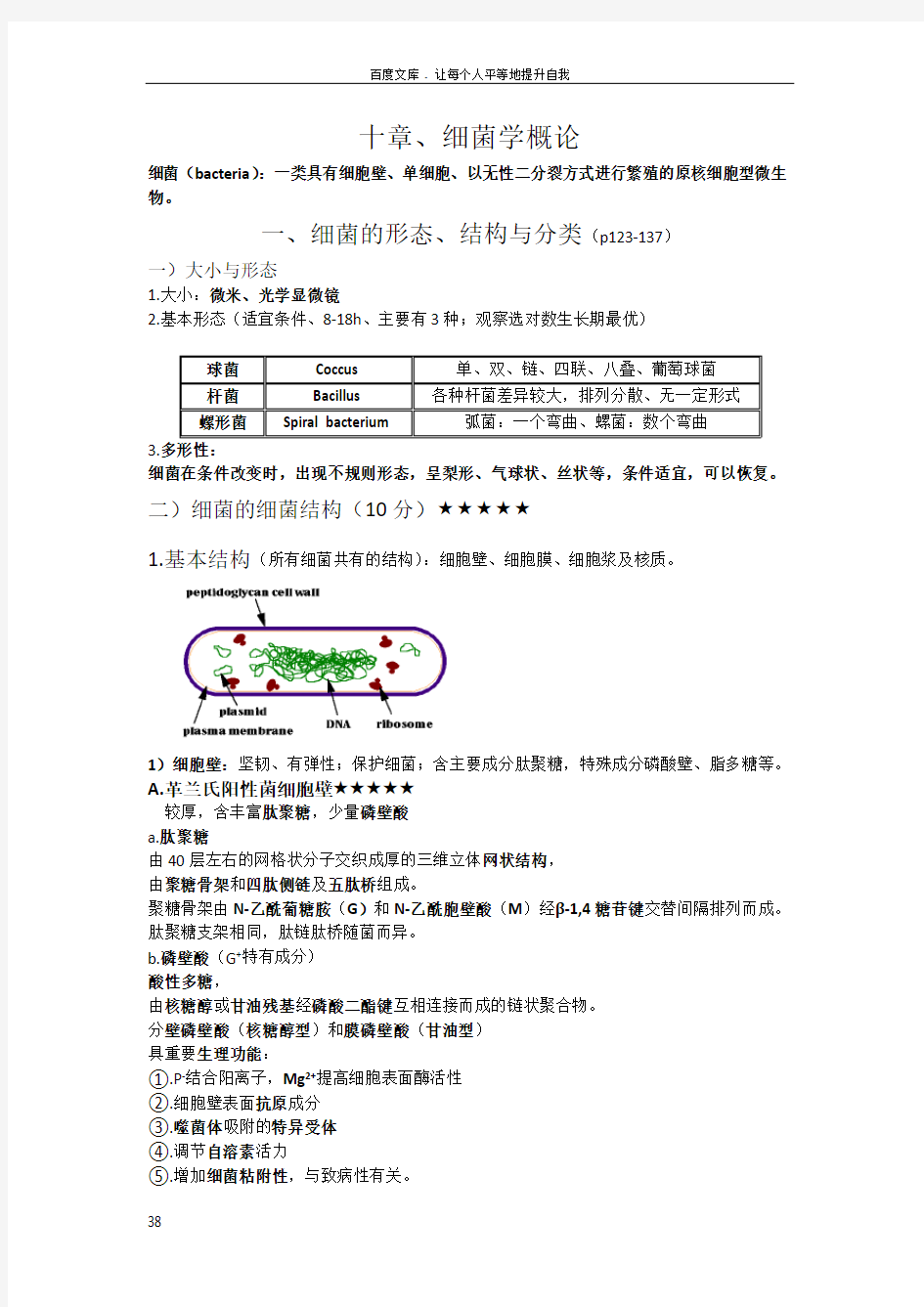 微生物学重点内容(考试必看)