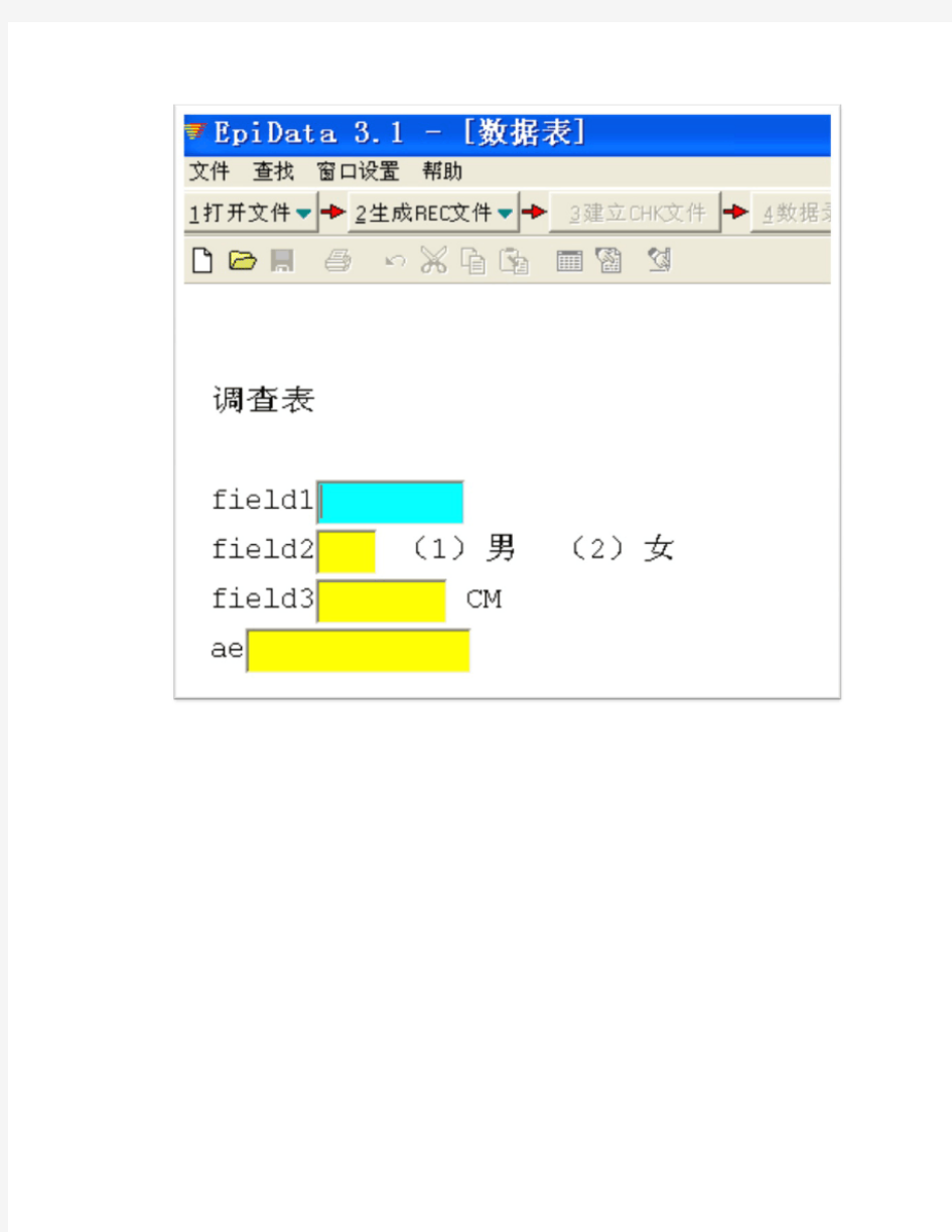 EPIDATA教程