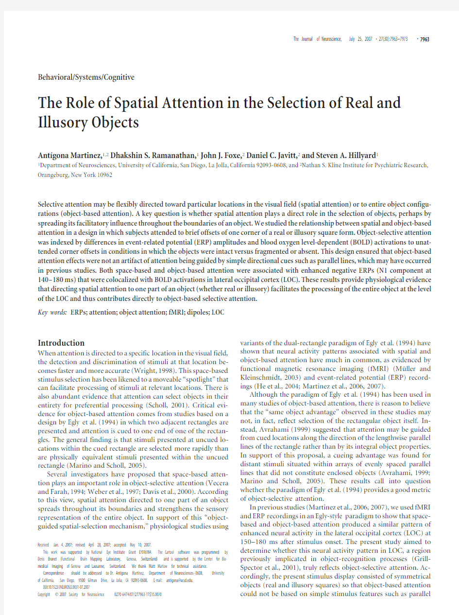 the role of spatial attention in selection of real and illusory objects