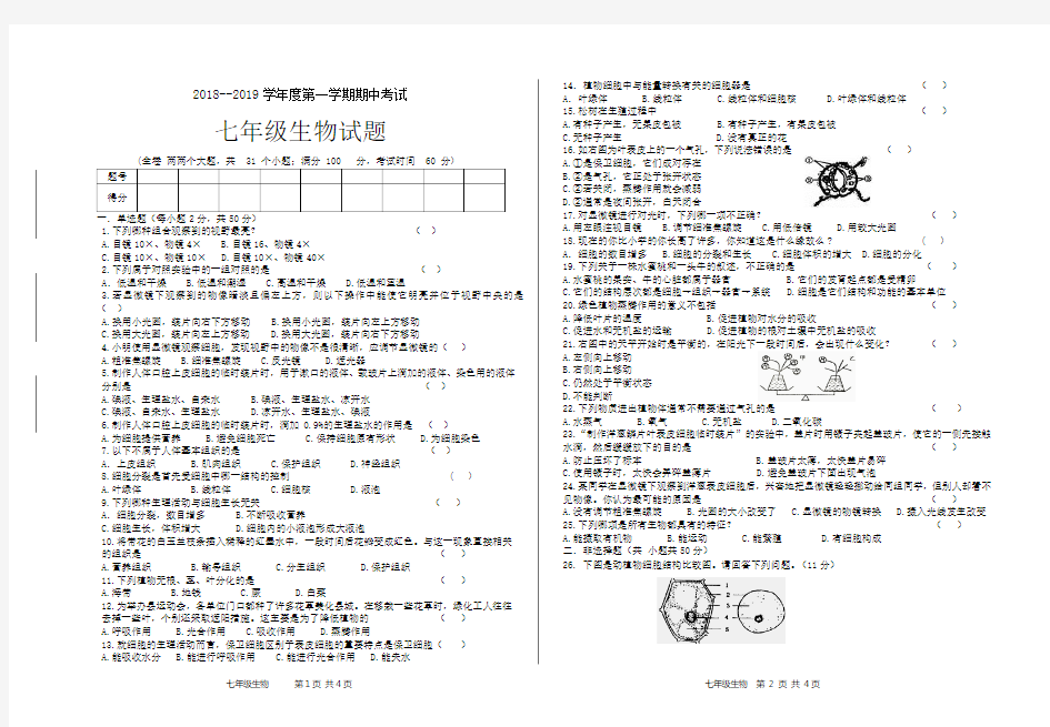 初一生物期中考试试题及答案