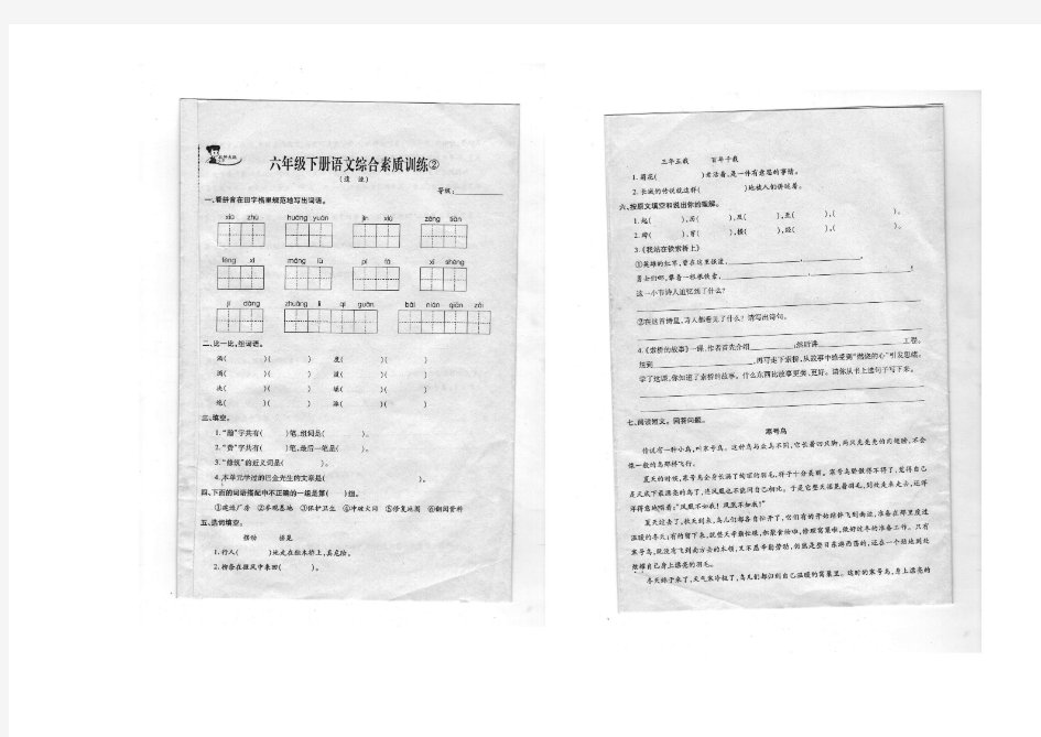 六年级下册语文综合素质训练(遗迹)