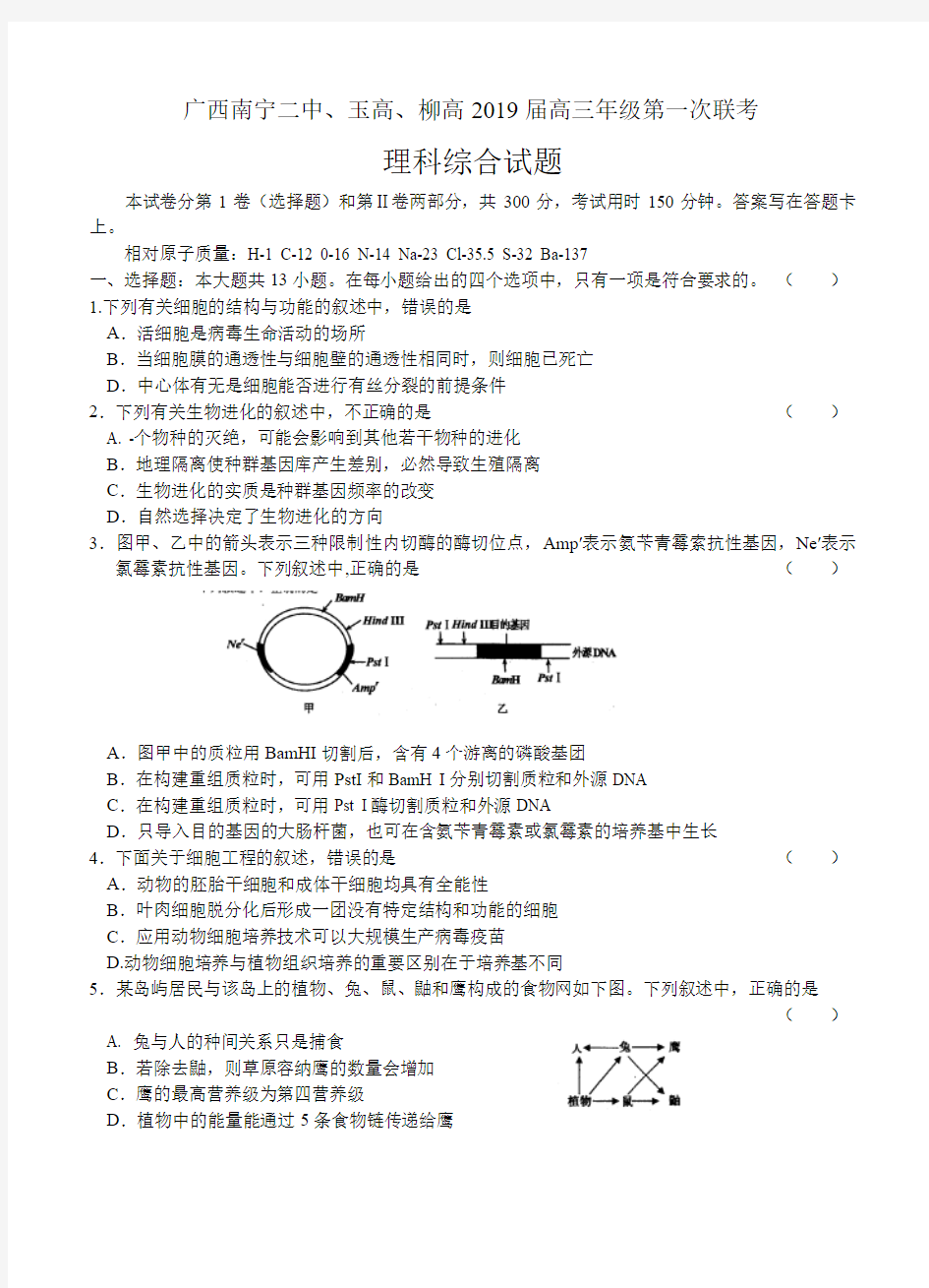 广西南宁二中、玉高、柳高2019届高三年级第一次联考 理综