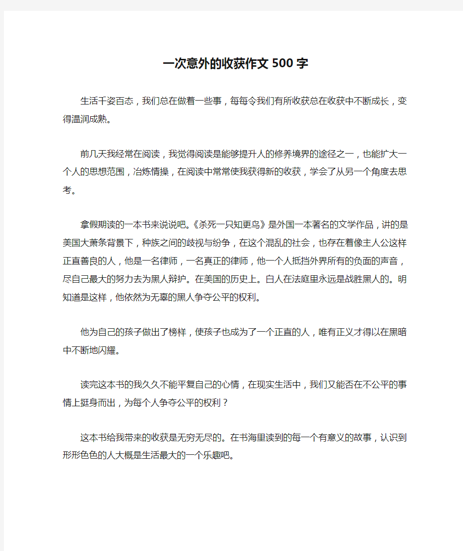 一次意外的收获作文500字