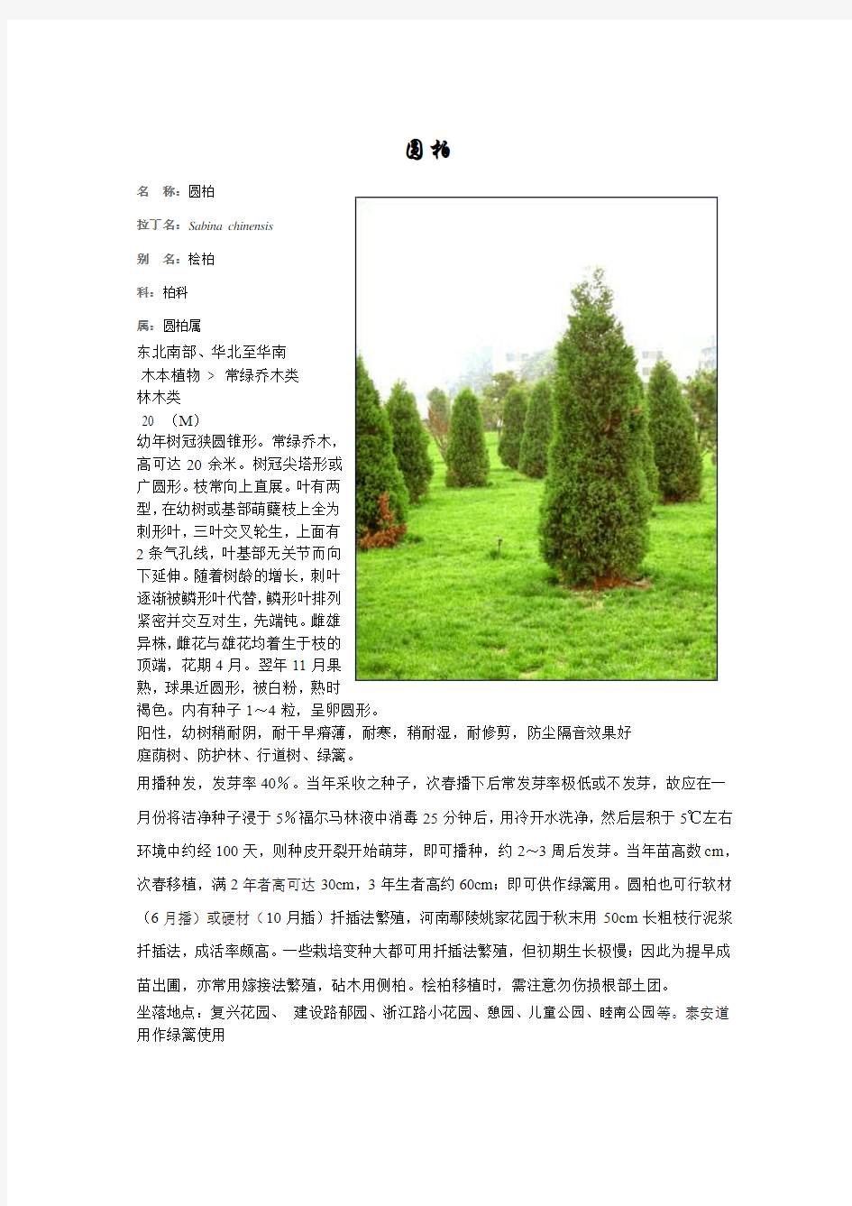 天津市常绿植物表