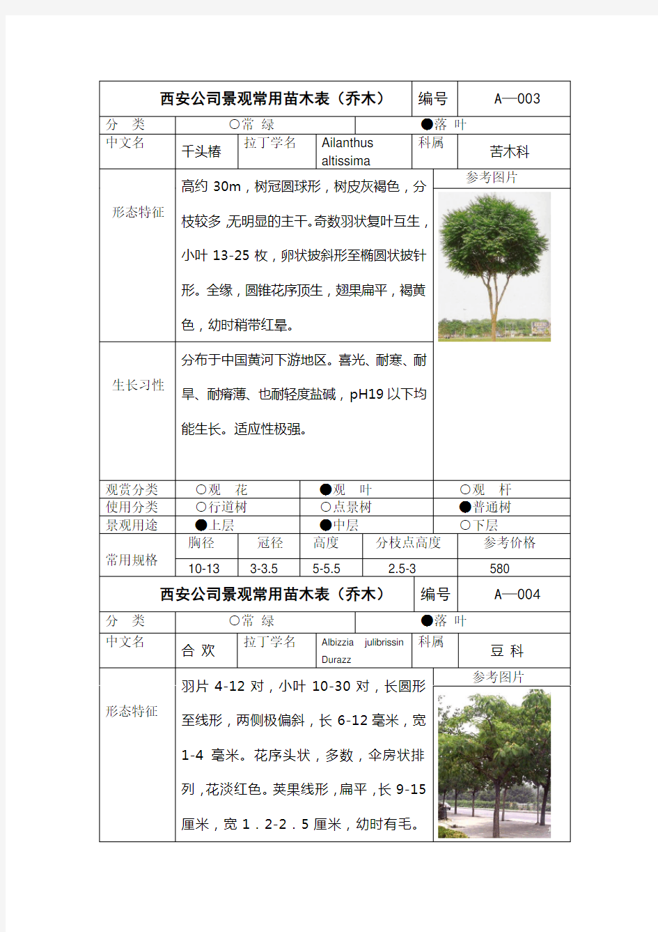 西安公司景观常用苗木表(乔木)