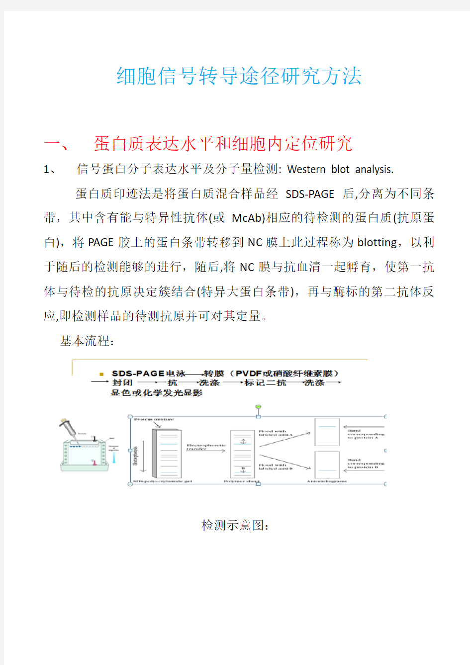 细胞信号转导研究方法