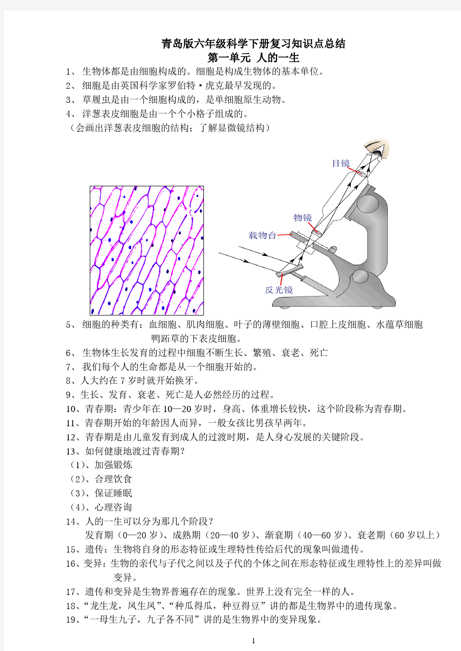 青岛版六年级下册科学(全册)知识点总结及试题、实验设计