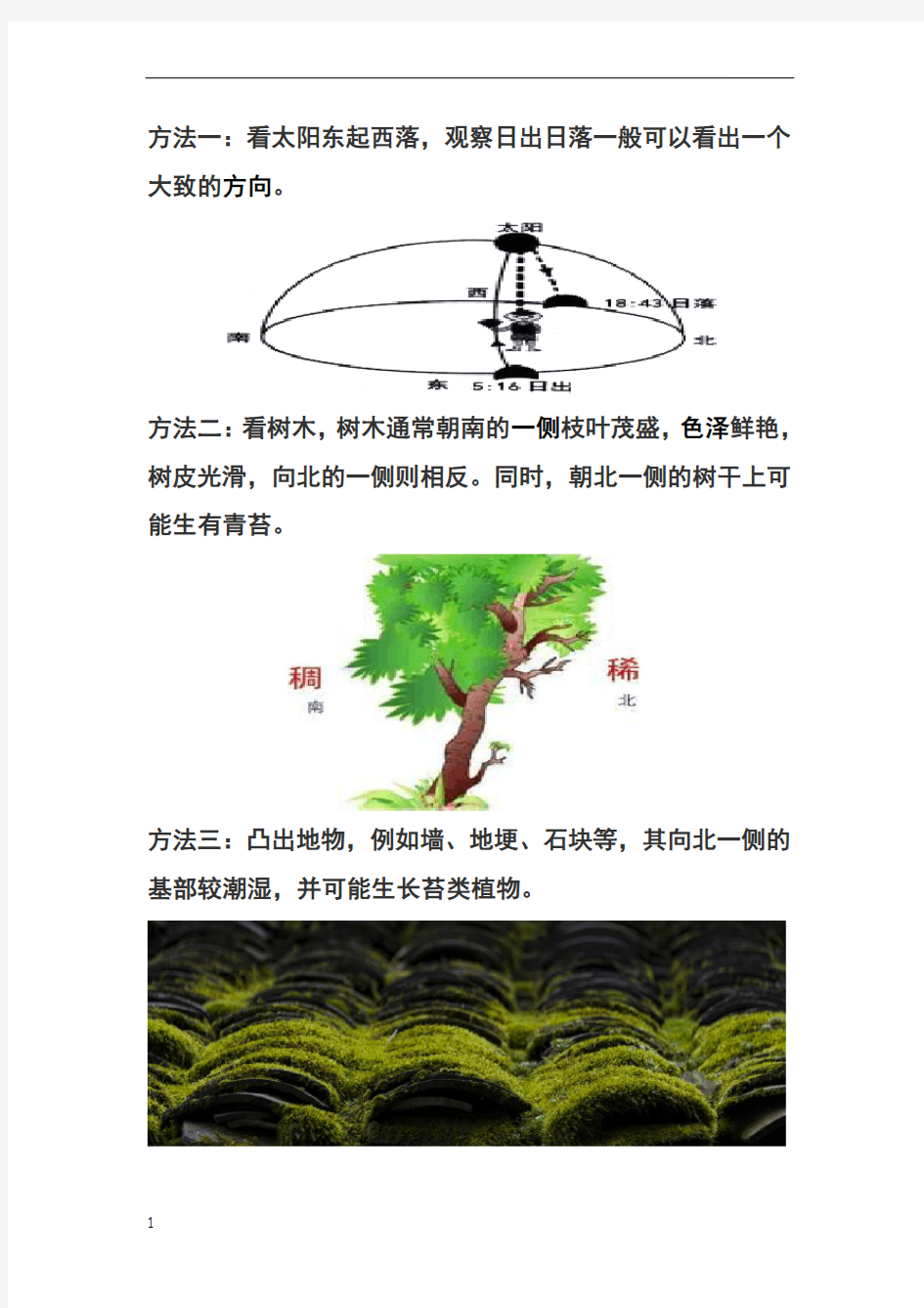 小学生自然环境辨别方向几大典型方法