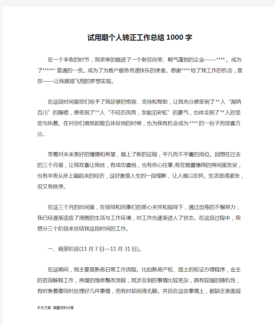 试用期个人转正工作总结1000字