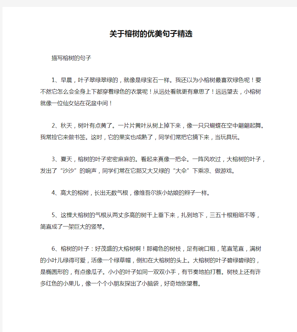 关于榕树的优美句子精选