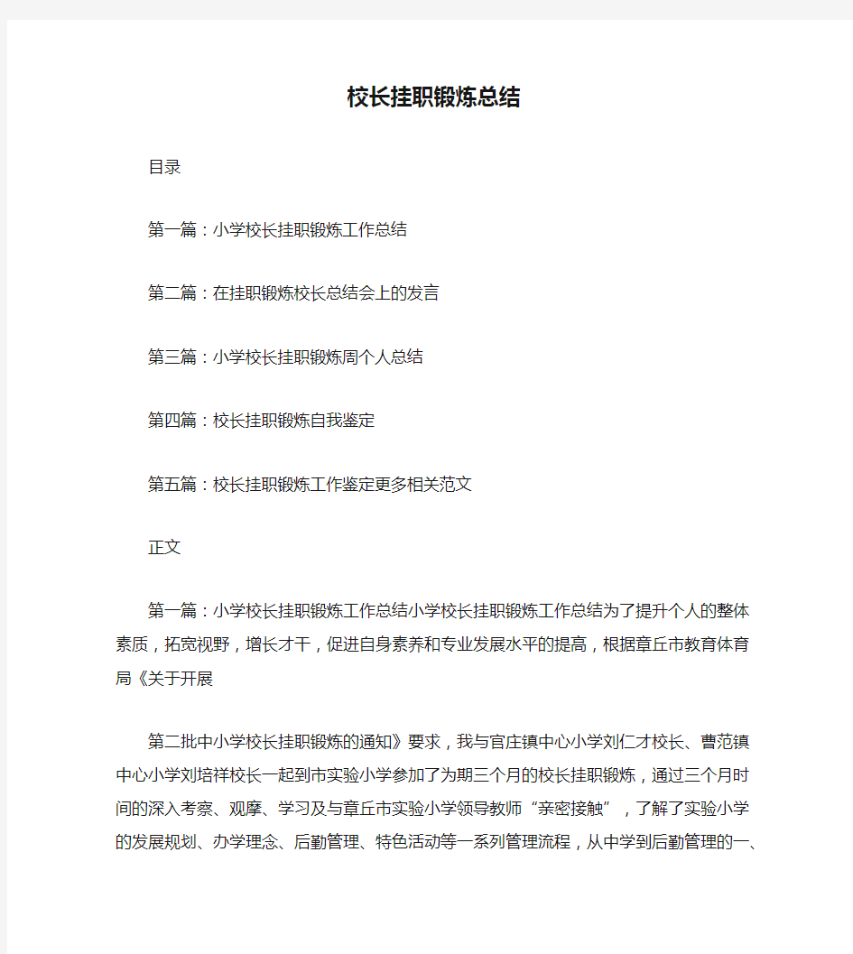 校长挂职锻炼总结