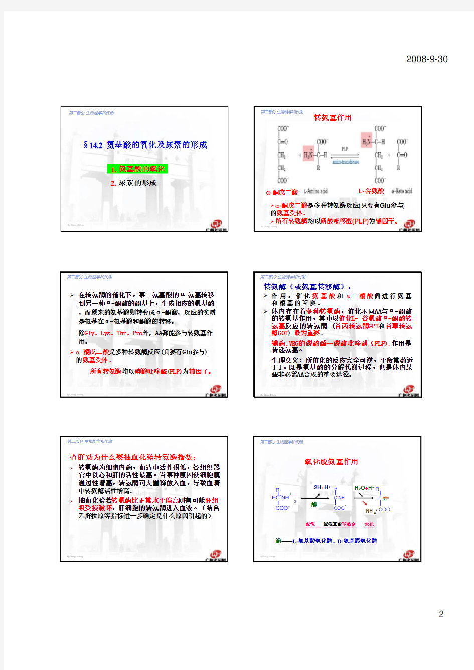 生物化学讲义14-蛋白质的降解和氨基酸的氧化及合成 考研生物化学辅导讲义