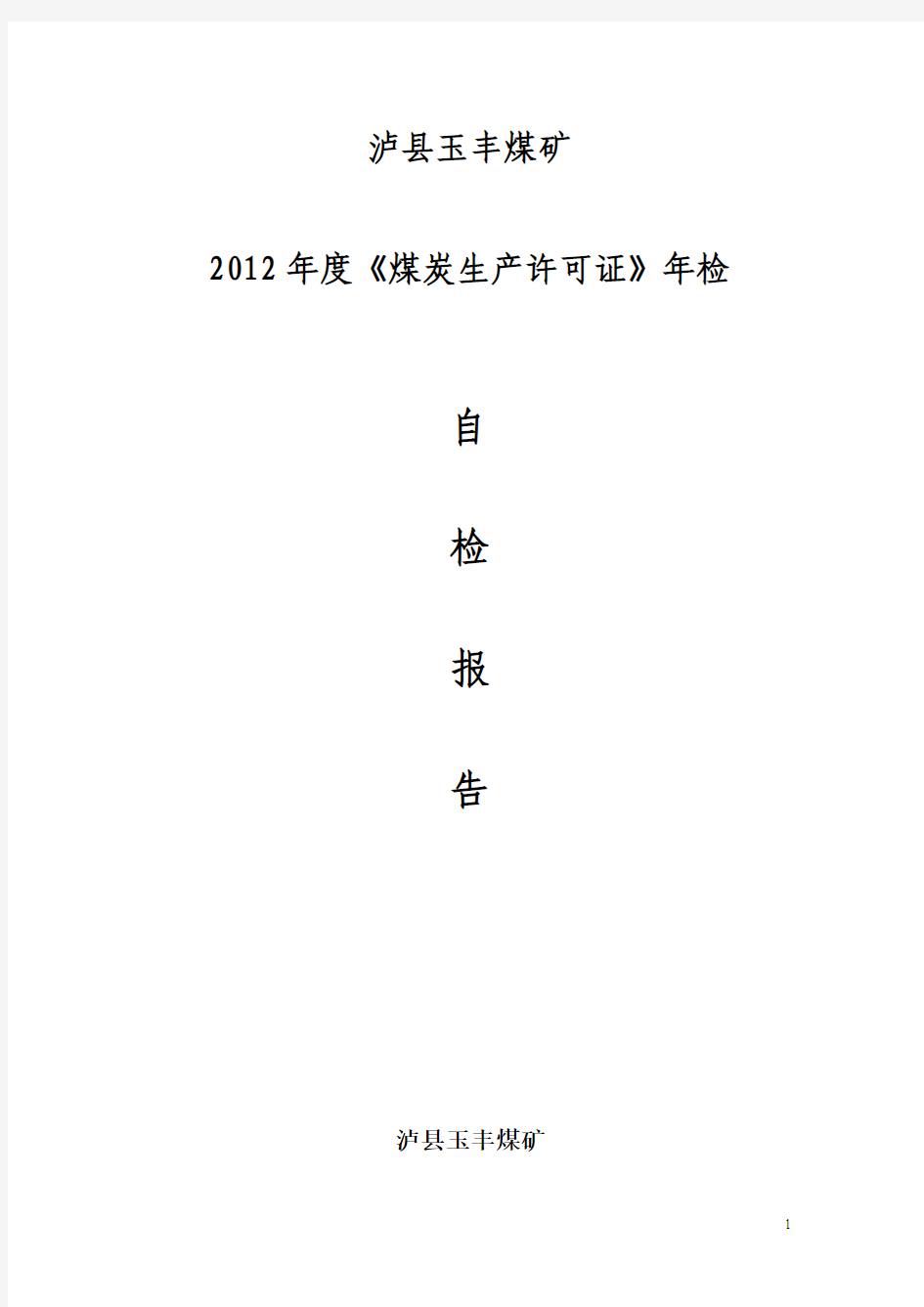 泸县玉丰煤矿2012年度煤炭生产许可证年检自查报告