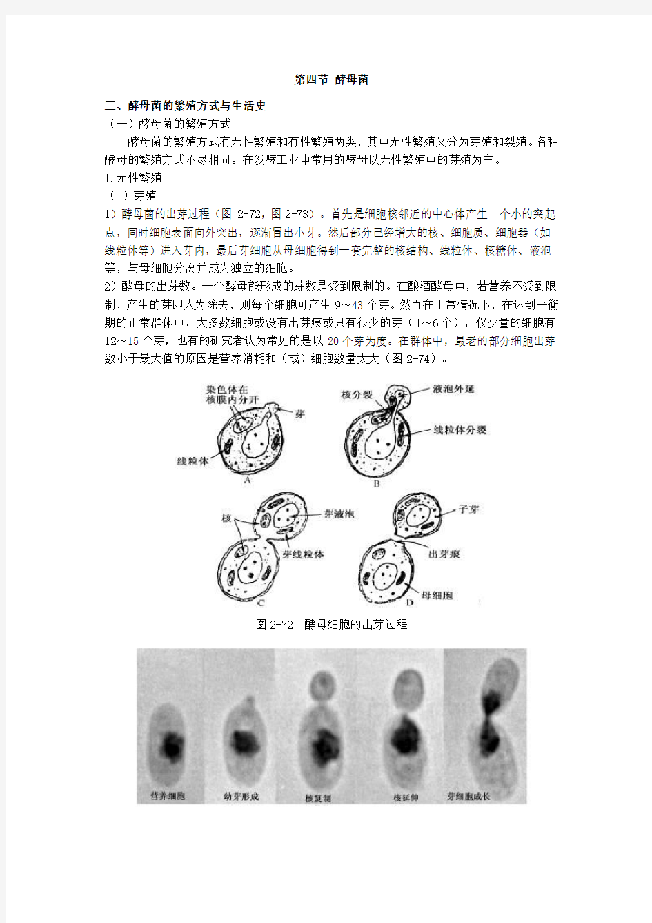 酵母菌综述