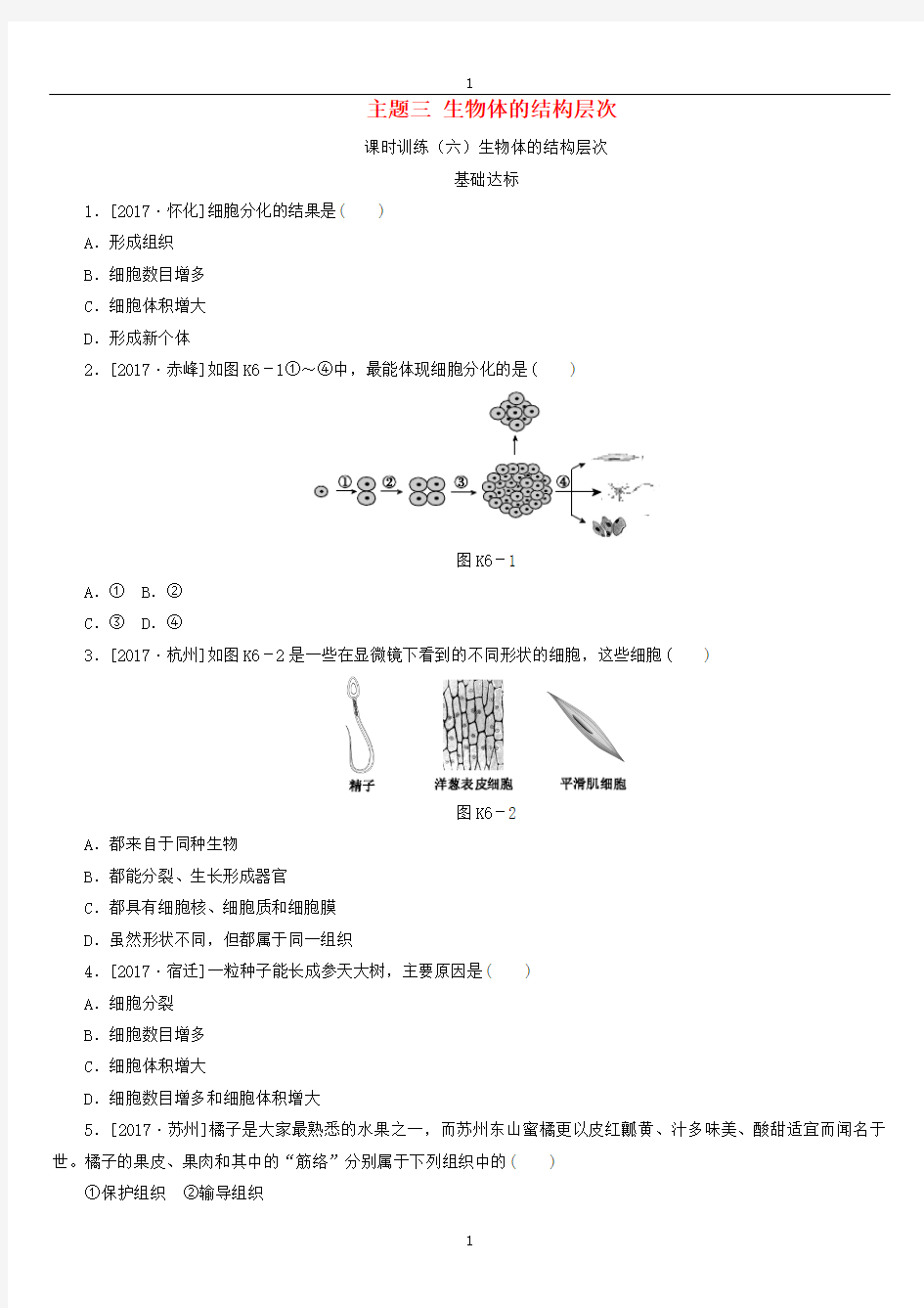 中考生物复习(6)生物体的结构层次作业手册(含答案)