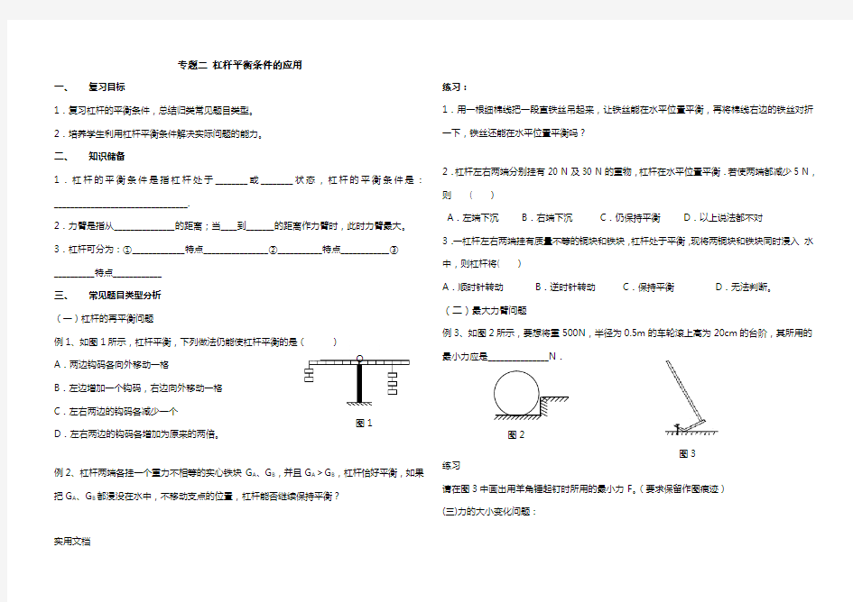 专题2 杠杆平衡条件的应用