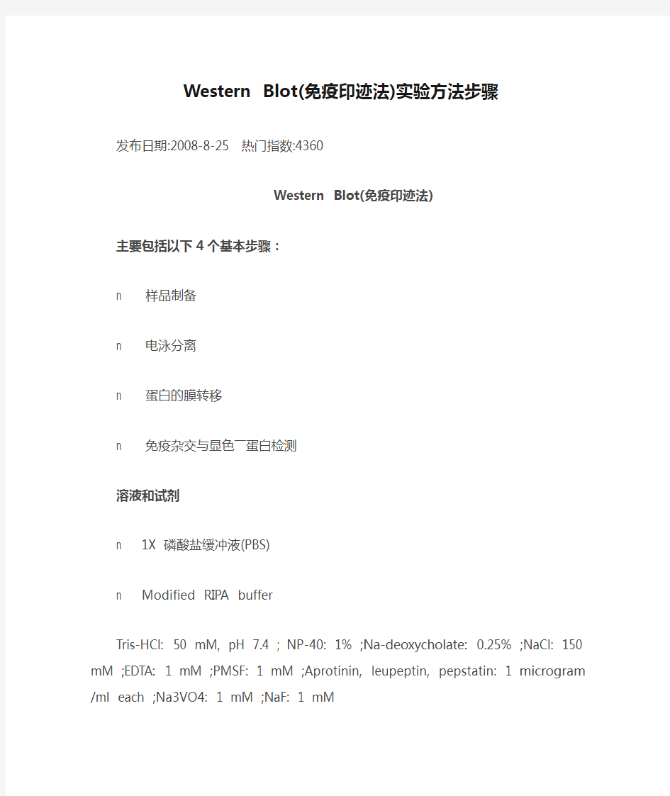 Western Blot(免疫印迹法)实验方法步骤