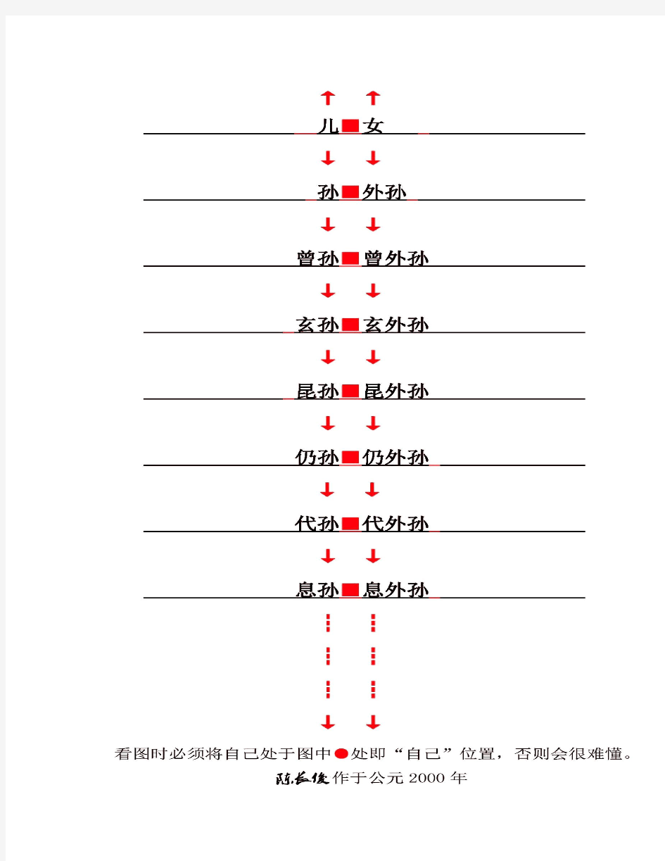 家族血脉关系世系图