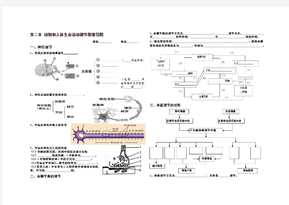 动物生命活动调节思维导图