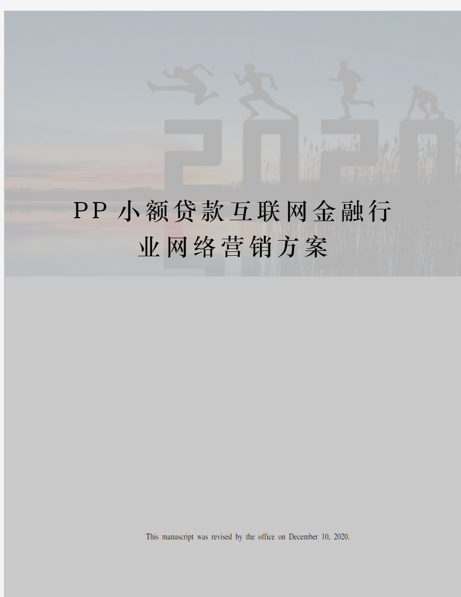 PP小额贷款互联网金融行业网络营销方案