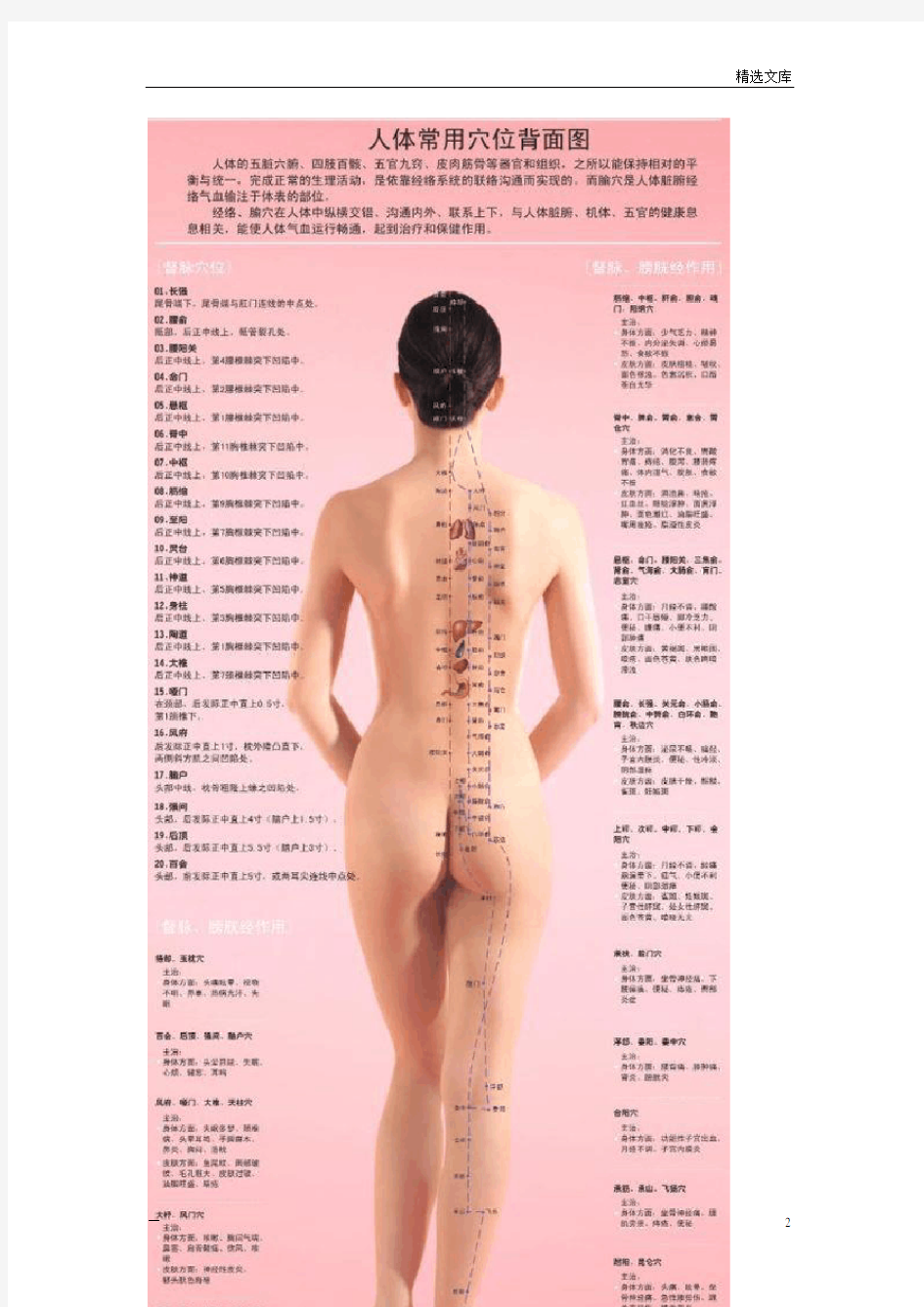 医学常识普及：人体穴位图(高清免费完整版)