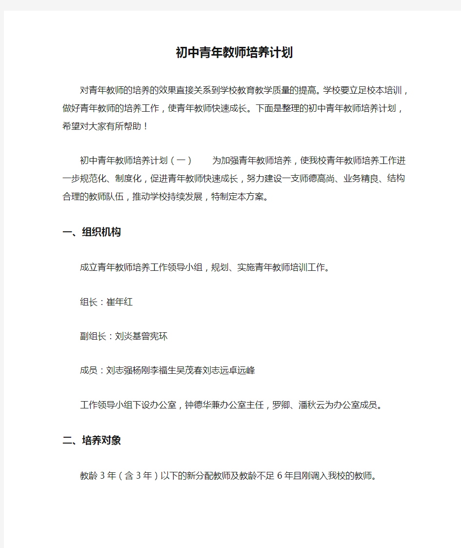 初中青年教师培养计划